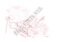 EVAPORATIVE EMISSION SYSTEM (EVAP) voor Ducati 848 EVO 2013