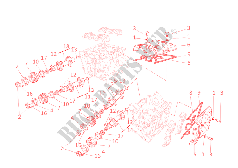 CILINDERKOP   DISTRIBUTIERIEM voor Ducati Diavel Carbon 2012