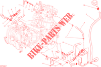 EVAPORATIVE EMISSION SYSTEM (EVAP) voor Ducati Hypermotard 2015