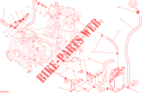 EVAPORATIVE EMISSION SYSTEM (EVAP) voor Ducati Hyperstrada 2015