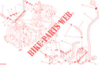 EVAPORATIVE EMISSION SYSTEM (EVAP) voor Ducati Hypermotard SP 2015