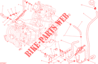 EVAPORATIVE EMISSION SYSTEM (EVAP) voor Ducati Hypermotard 2014
