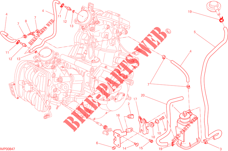 EVAPORATIVE EMISSION SYSTEM (EVAP) voor Ducati Hyperstrada 2014