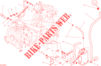 EVAPORATIVE EMISSION SYSTEM (EVAP) voor Ducati Hypermotard SP 2014