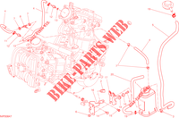 EVAPORATIVE EMISSION SYSTEM (EVAP) voor Ducati Hyperstrada 2013