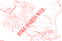 EVAPORATIVE EMISSION SYSTEM (EVAP) voor Ducati Hypermotard SP 2013