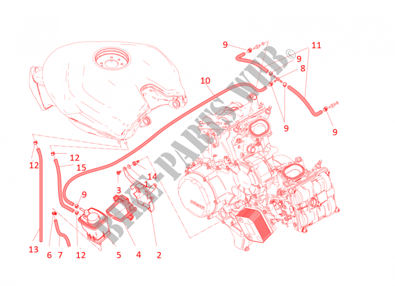 EVAPORATIVE EMISSION SYSTEM (EVAP) voor Ducati Panigale R 2016