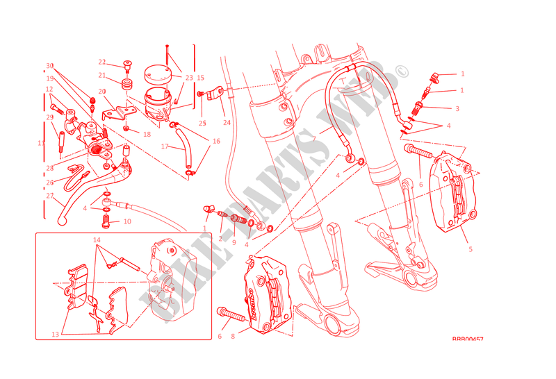 REM VOOR SYSTEEM voor Ducati Monster 1200 2015