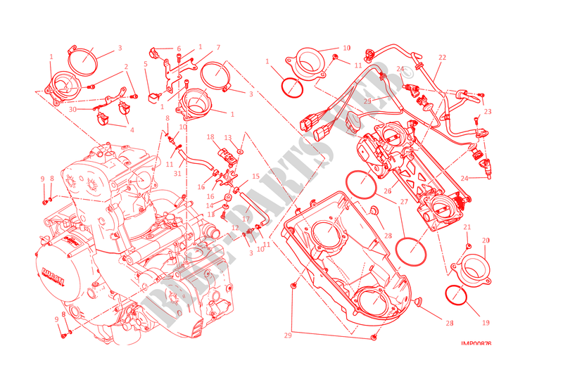 GASKLEP HUIS voor Ducati Monster 1200 2014