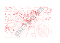 KABELBOOM voor Ducati Monster 696 2013