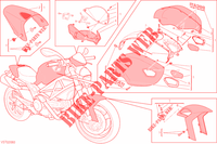 ART KIT voor Ducati Monster 796 2013