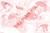 KUIPDEEL MONSTER ART voor Ducati Monster 796 2012