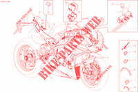 KABELBOOM voor Ducati PANIGALE 1000 V4 R 2019