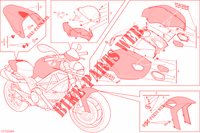 KUIPDEEL MONSTER ART voor Ducati Monster 796 2011