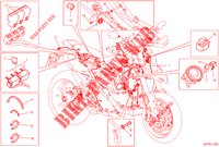 KABELBOOM voor Ducati Hypermotard 950 2019