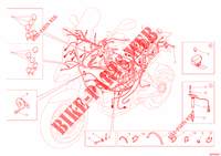 KABELBOOM voor Ducati Multistrada 1200 ABS 2012
