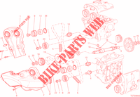 DISTRIBUTIERIEM voor Ducati Monster 821 2015