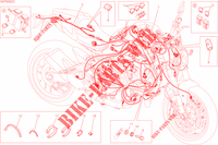 KABELBOOM voor Ducati Monster 821 2015