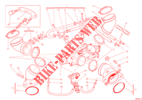 GASKLEP HUIS voor Ducati Monster 659 ABS Learner Legal (LAMs) 2012