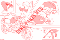 ART KIT voor Ducati Monster 796 Anniversary 2013