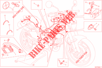 KABELBOOM voor Ducati Monster 796 Anniversary 2013