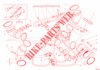 GASKLEP HUIS voor Ducati Monster 796 ABS Anniversary 2013