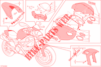 ART KIT voor Ducati Monster 796 ABS 2013