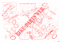 GASKLEP HUIS voor Ducati Monster 659 ABS Learner Legal (LAMs) 2013