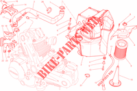 INLAAT voor Ducati Monster 659 ABS Learner Legal (LAMs) 2014