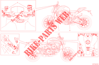 WARNING LABEL voor Ducati Monster + 2022