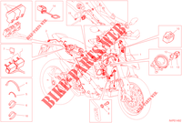 KABELBOOM voor Ducati Hypermotard 950 SP 2022