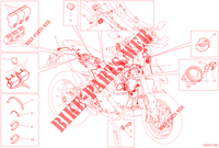 KABELBOOM voor Ducati Hypermotard 950 2022