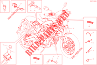 KABELBOOM voor Ducati Scrambler 1100 Dark Pro 2023