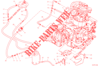 EVAPORATIVE EMISSION SYSTEM (EVAP) voor Ducati Multistrada V2 2023