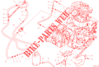 EVAPORATIVE EMISSION SYSTEM (EVAP) voor Ducati Multistrada V2 S 2023
