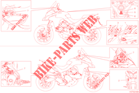 LABEL voor Ducati Multistrada V2 S Travel 2023