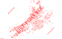 VERTICAAL CILINDERKOP   DISTRIBUTIERIEM voor Ducati Monster SP 2023