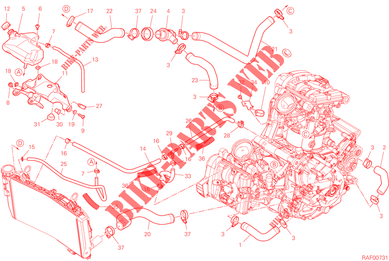 KOELSYSTEEM voor Ducati Monster SP 2023