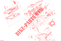 VERTICAAL CILINDERKOP   DISTRIBUTIERIEM voor Ducati Streetfighter V2 2023