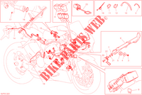 KABELBOOM voor Ducati PANIGALE V2 TROY BAYLISS 2023
