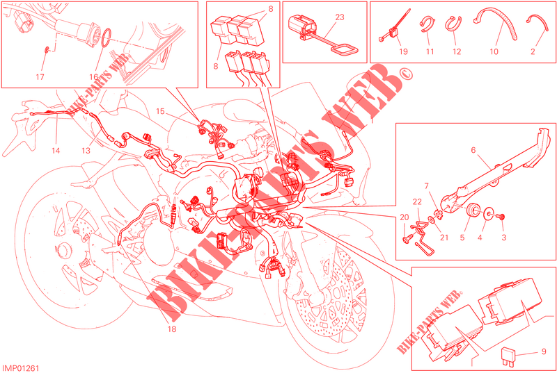 KABELBOOM voor Ducati PANIGALE V2 TROY BAYLISS 2023