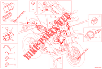 KABELBOOM voor Ducati HYPERMOTARD 950 2023