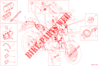 KABELBOOM voor Ducati HYPERMOTARD 950 SP 2023
