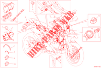 KABELBOOM voor Ducati HYPERMOTARD 950 RVE 2023