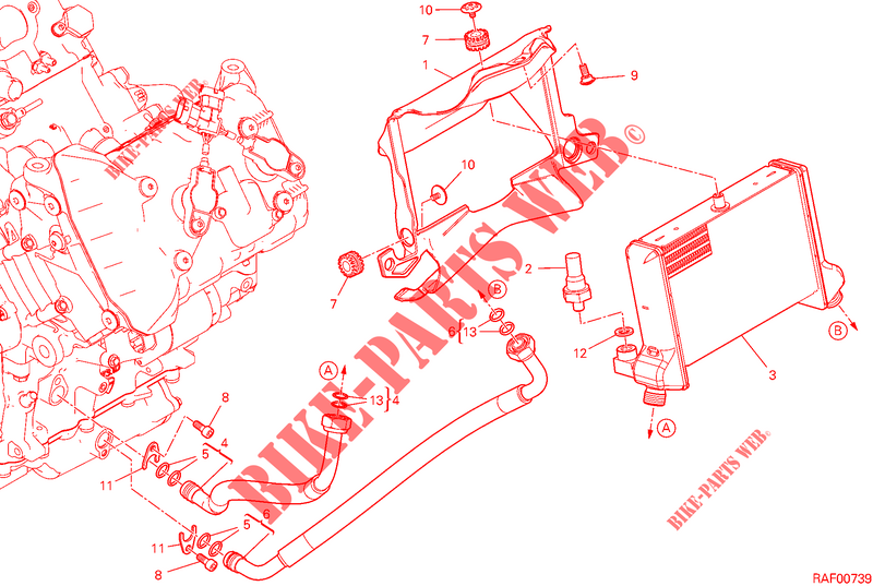 OLIEKOELER voor Ducati Multistrada V4 RS 2024